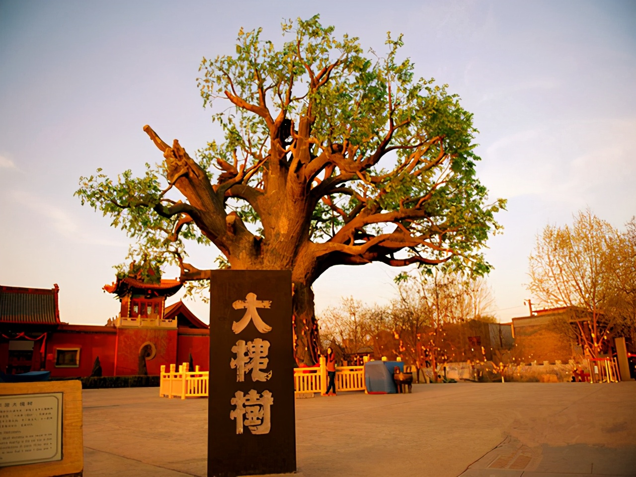 小脚趾甲两瓣的是满族还是汉族人,小脚趾甲为什么有两瓣是汉人