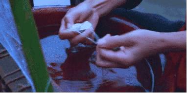 真正的蚕丝被100%桑蚕丝北极绒,推荐一款纯天然蚕丝被