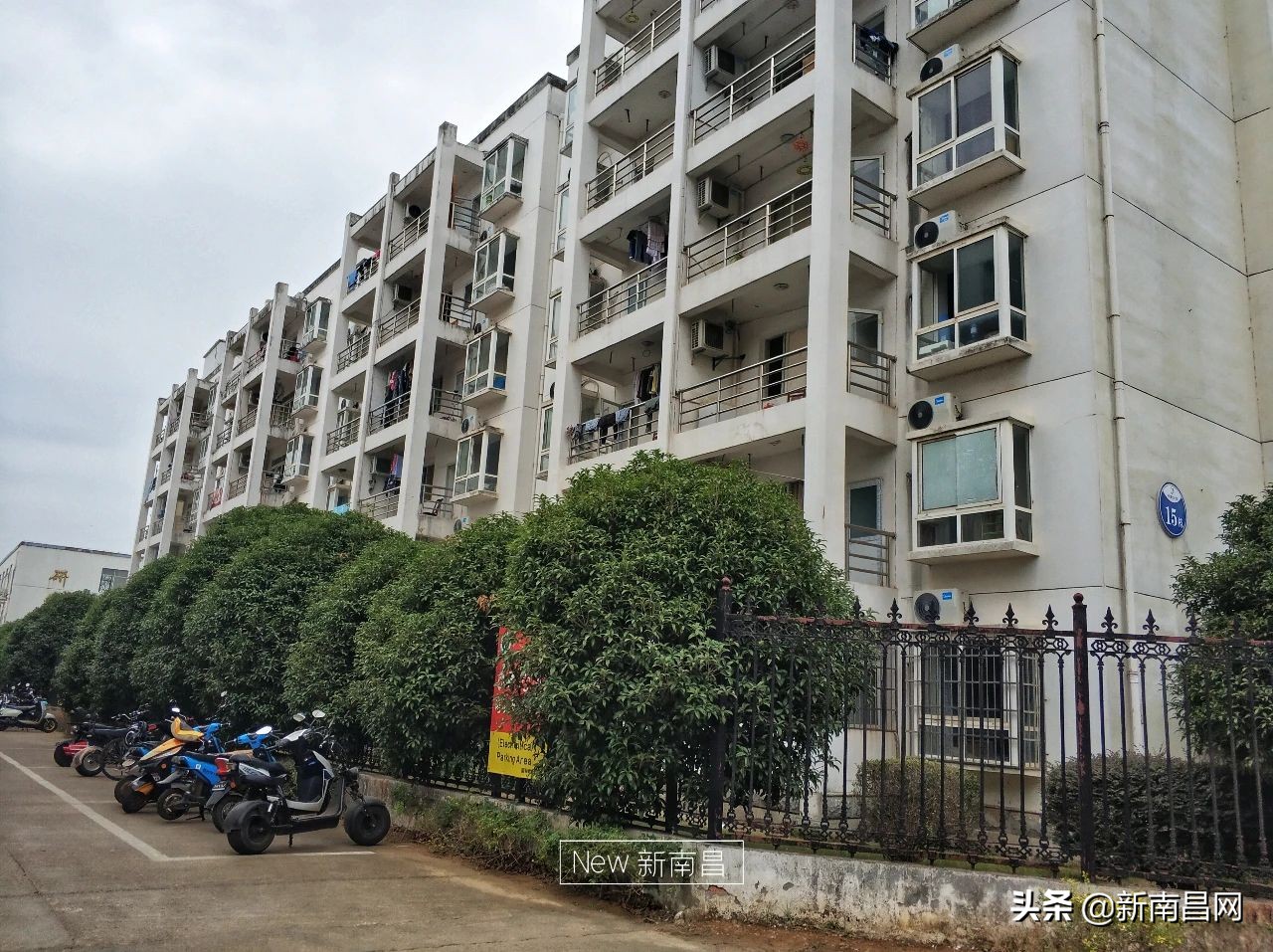 江西中医药大学回忆,现在的江西中医药大学