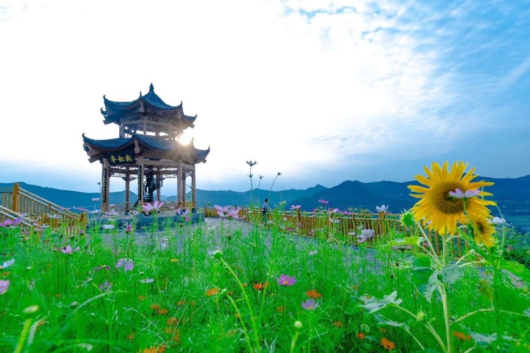 精品旅游线路乡村游亲子游,2020年全国精品乡村旅游路线