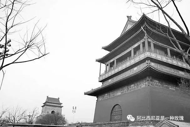 10.《钟鼓楼》（二）：我的爱是一贯的，只不过对象在变而已。