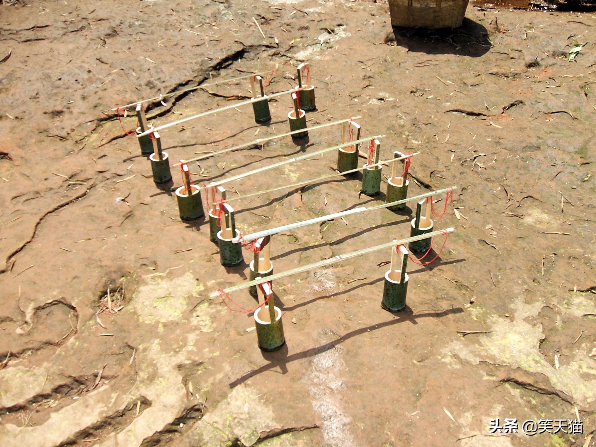 四川宜宾竹海风景,宜宾蜀南竹海全视频