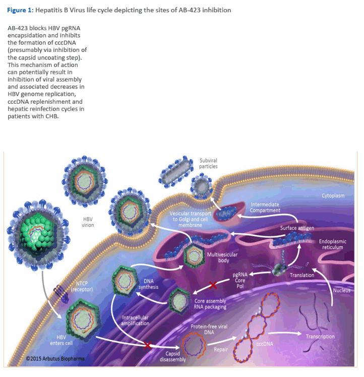 乙肝小三阳有没有传染性怎么判断,乙肝小三阳没有什么病毒吧