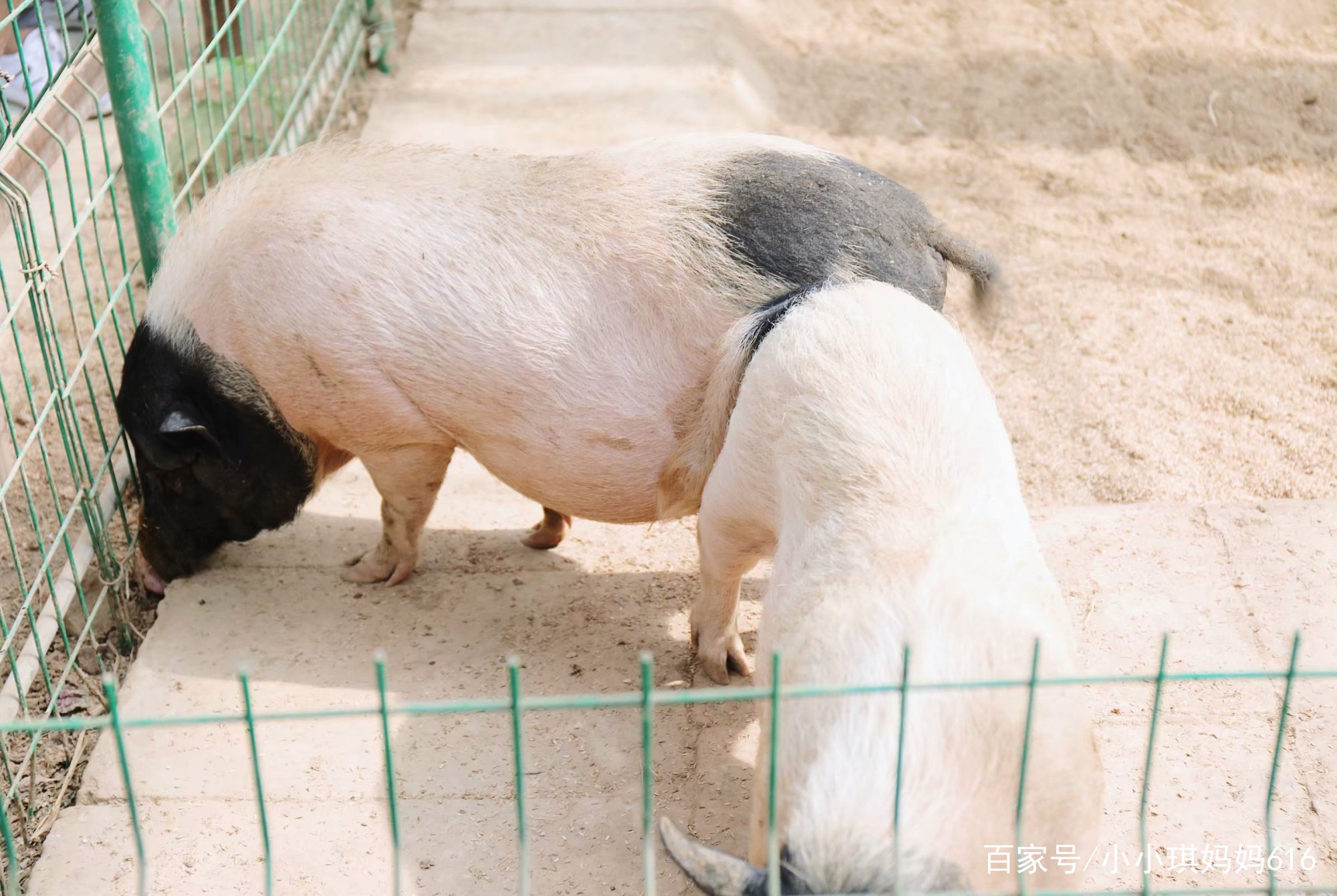 南京周边适合小众安静的旅行地,南京周边一天度假最好的地方