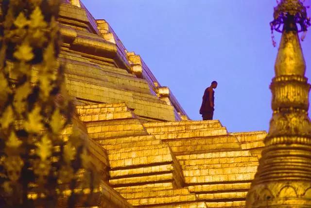 柚木缅甸哪个地方的柚木最好,缅甸最好的柚木产自哪里