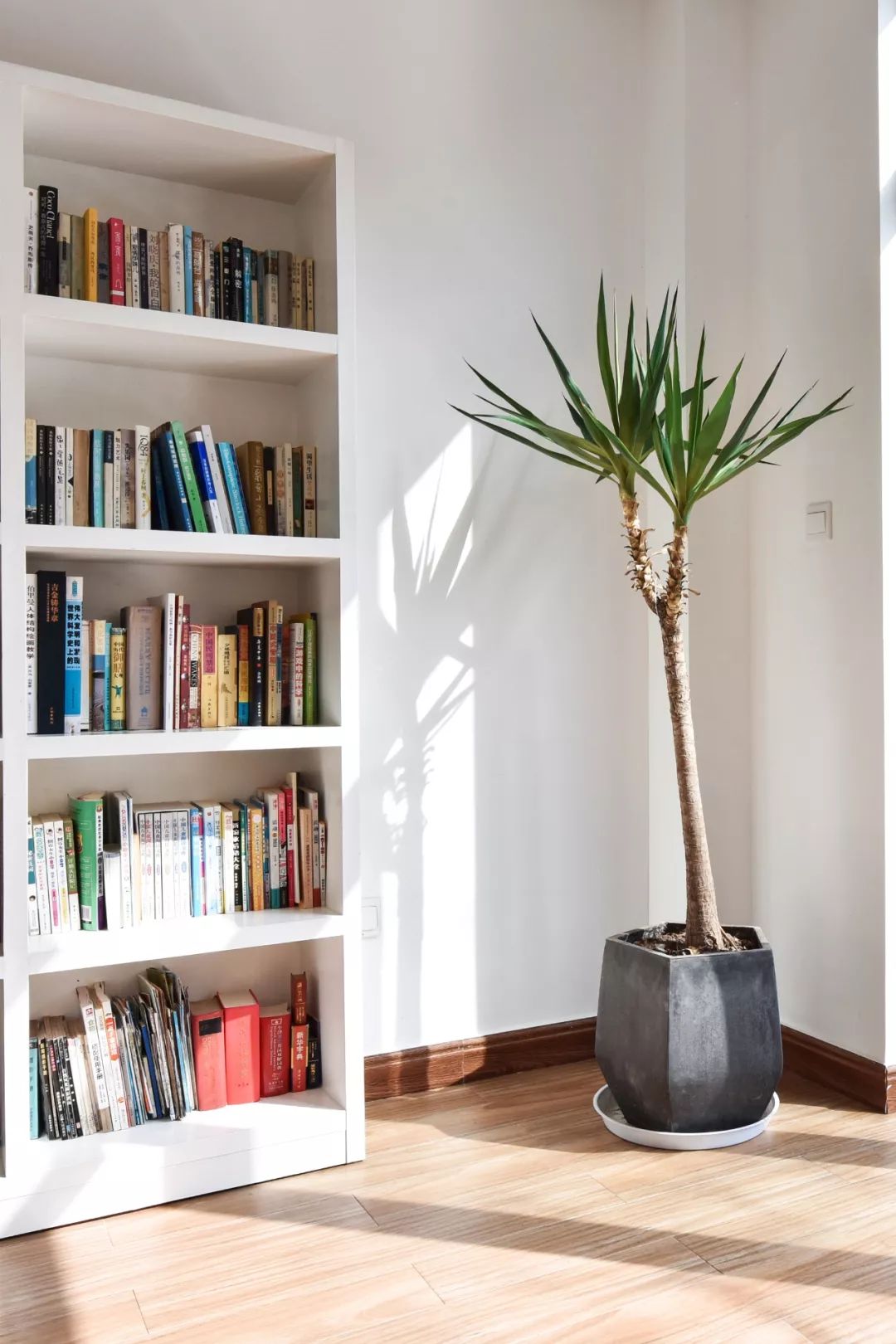 千岛湖绝美民宿,千岛湖玻璃屋民宿推荐