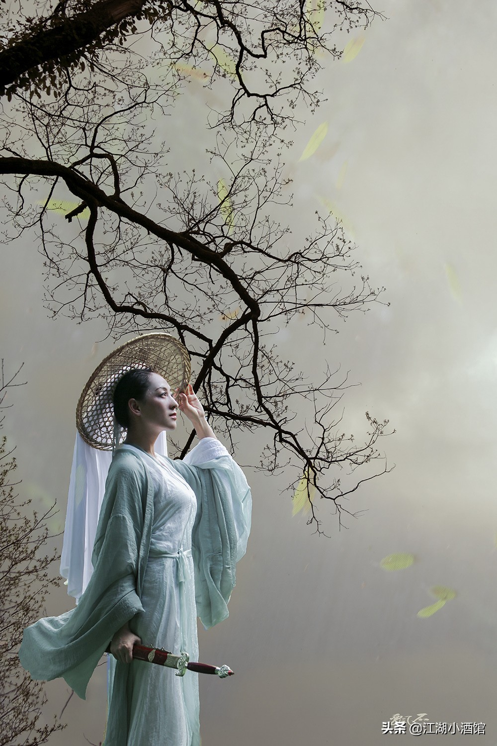 梅花易数的传奇故事,侠客传奇故事