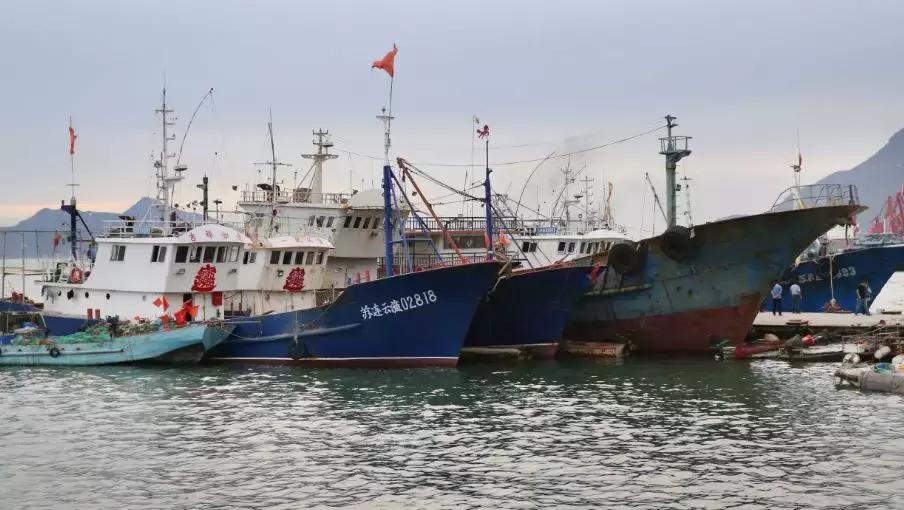 欢迎来连云港吃海鲜,连云港哪里吃海鲜便宜又实惠贴吧