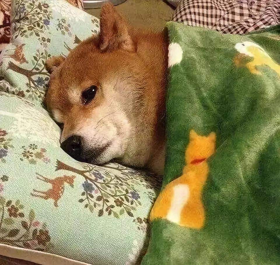 为什么我说七夕节给老婆买包不如买辆车划算？