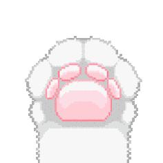 国家一级武术教练员认证,中国武术教练资格证书