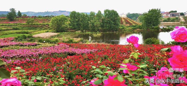 好久不见汉中这个三线厂你还记得吗？