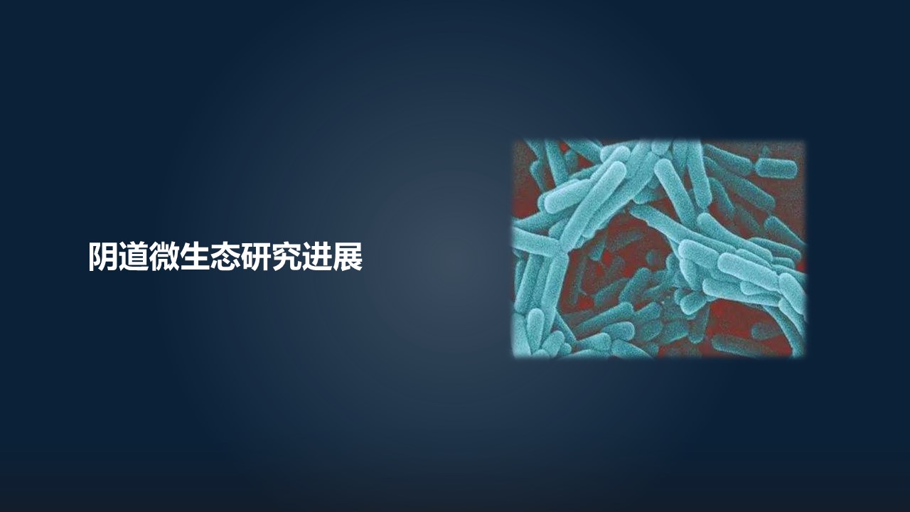 肖冰冰,肖冰冰的创作