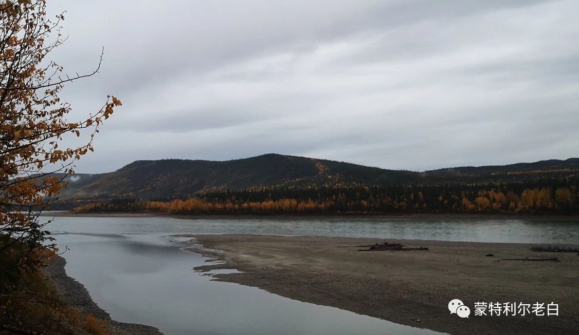 跟着老白行走加拿大，育空Watson Lake、BC省Northern Rockies