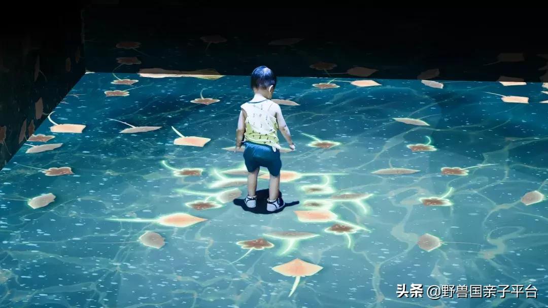 珠三角遛娃自驾游推荐,珠三角遛娃好去处