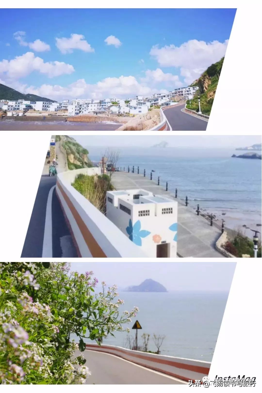 花鸟岛是个好地方,花屿花鸟岛