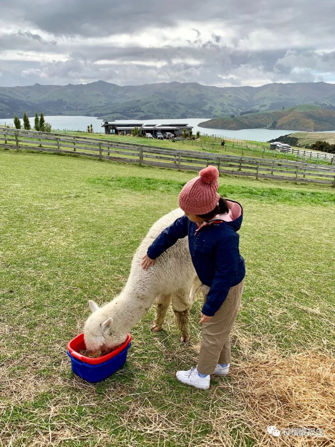 旅行7天,七天游记的视频在线观看全集高清