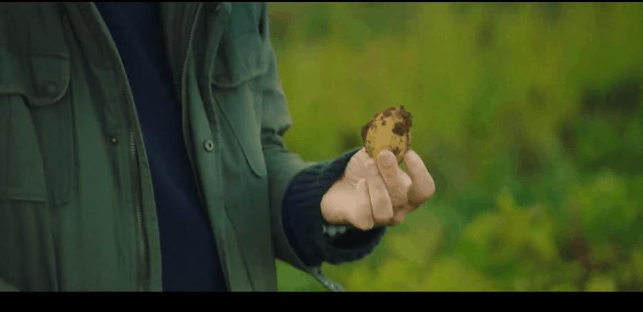 豆瓣9.6，这个“英国版李子柒”承包了我本月的笑点