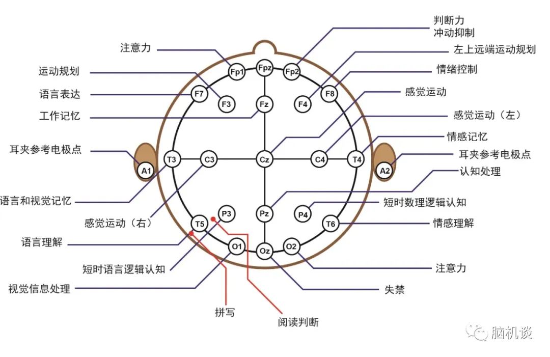 ​《脑机往事（3）—维达尔的秘密》
