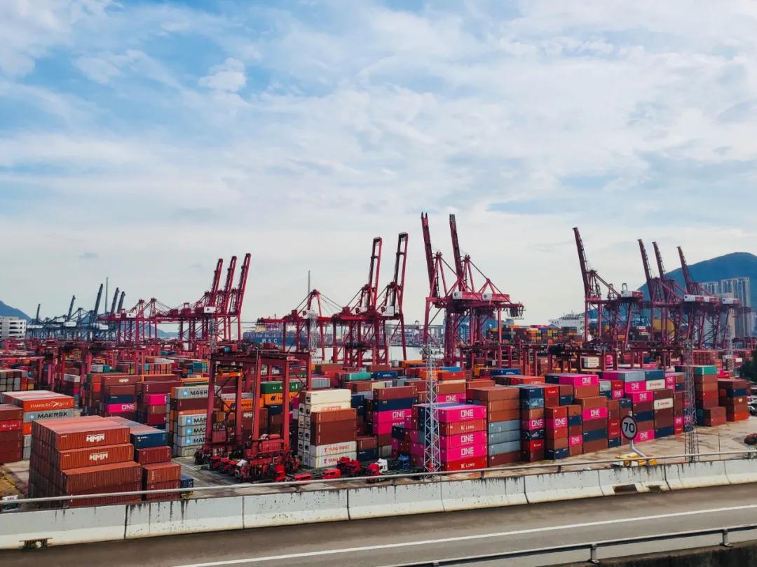 又是冷冻肉类？香港码头成新冠“重灾区”，为保供应链暂难关停