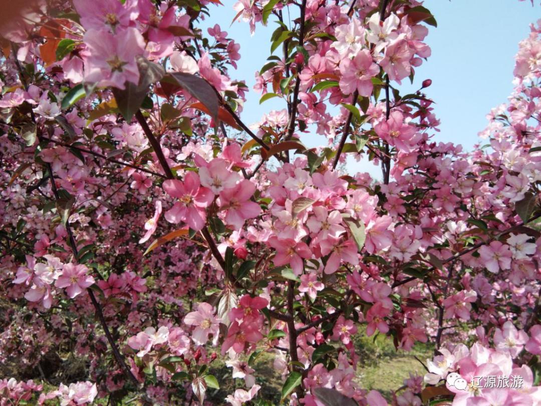 辽源周游旅游攻略,周游辽源