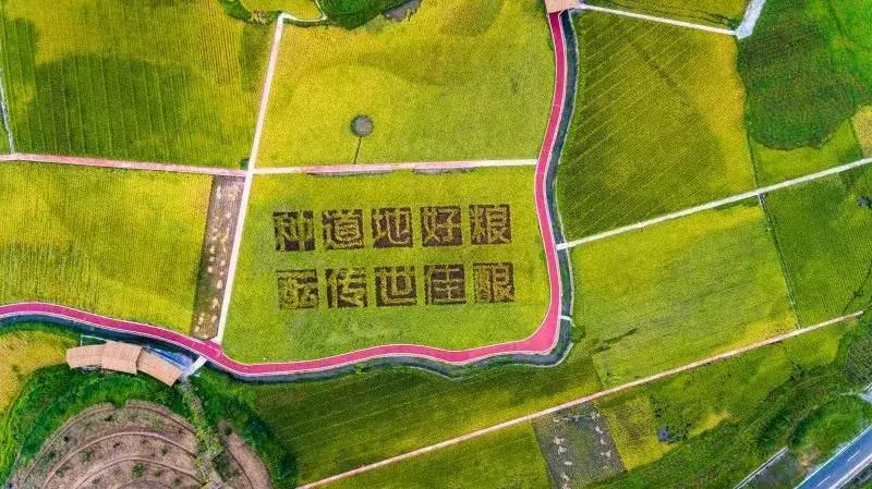 第八代经典五粮液酒特点,五粮液第八代是浓香还是酱香