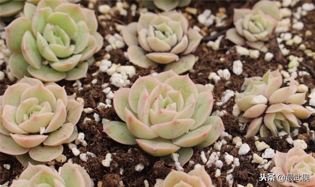 在哪里买东西又好又便宜？2018成都最全批发市场合辑来了