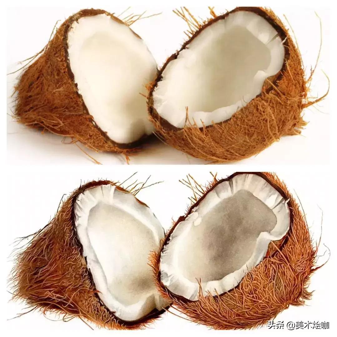 画的比照片还逼真,画的比照片还真实