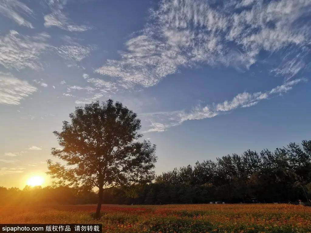 部分免费！北京赏秋“性价比”最高选择都在这儿了！