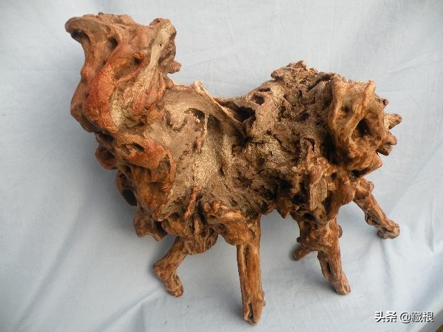 映山红树根可以做沉木吗,映山红根雕怎样养护发芽