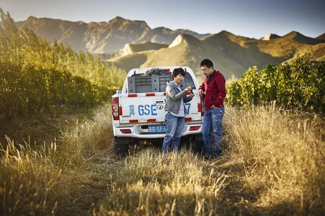 中国制造与中国制造的区别,中国造葡萄酒