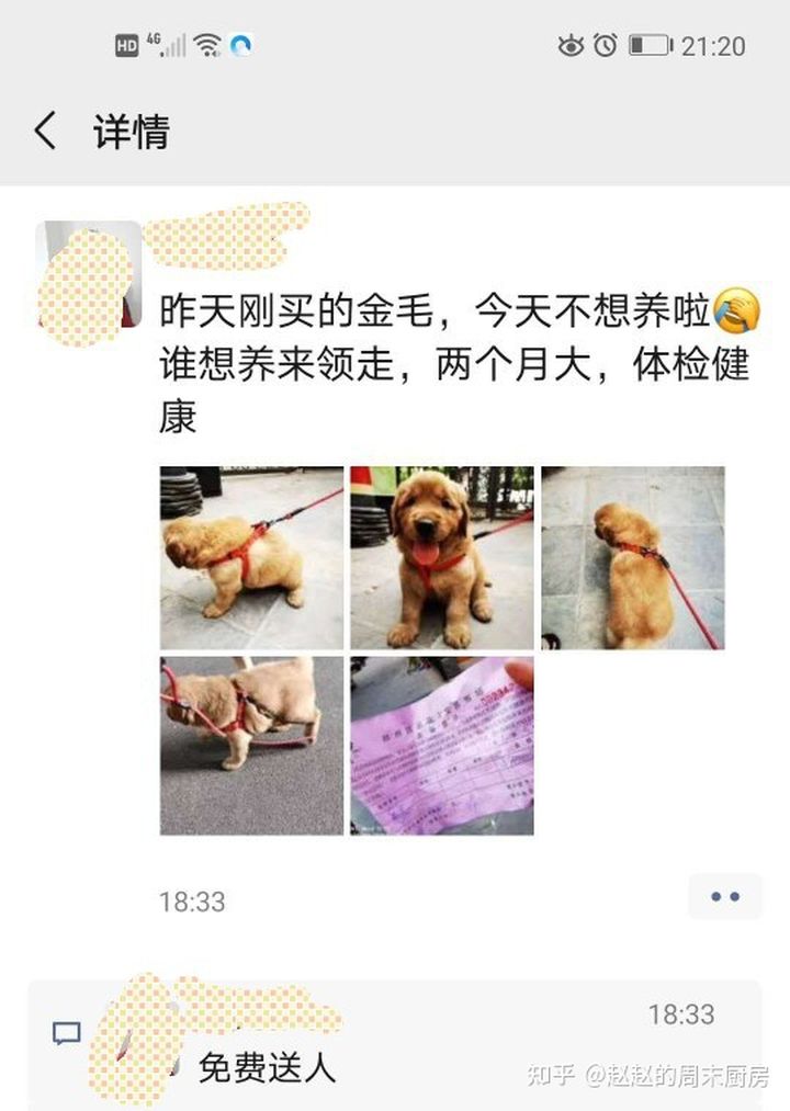 你会花钱给你的宠物拍写真吗?