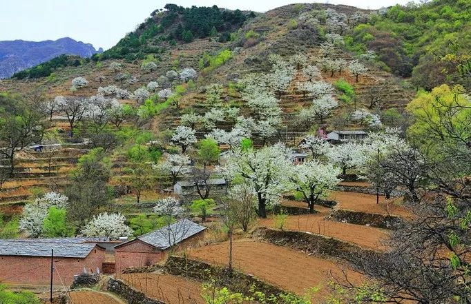 京郊四月美景,京郊四月
