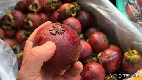 买山竹的小技巧,买山竹怎么挑选技巧图解