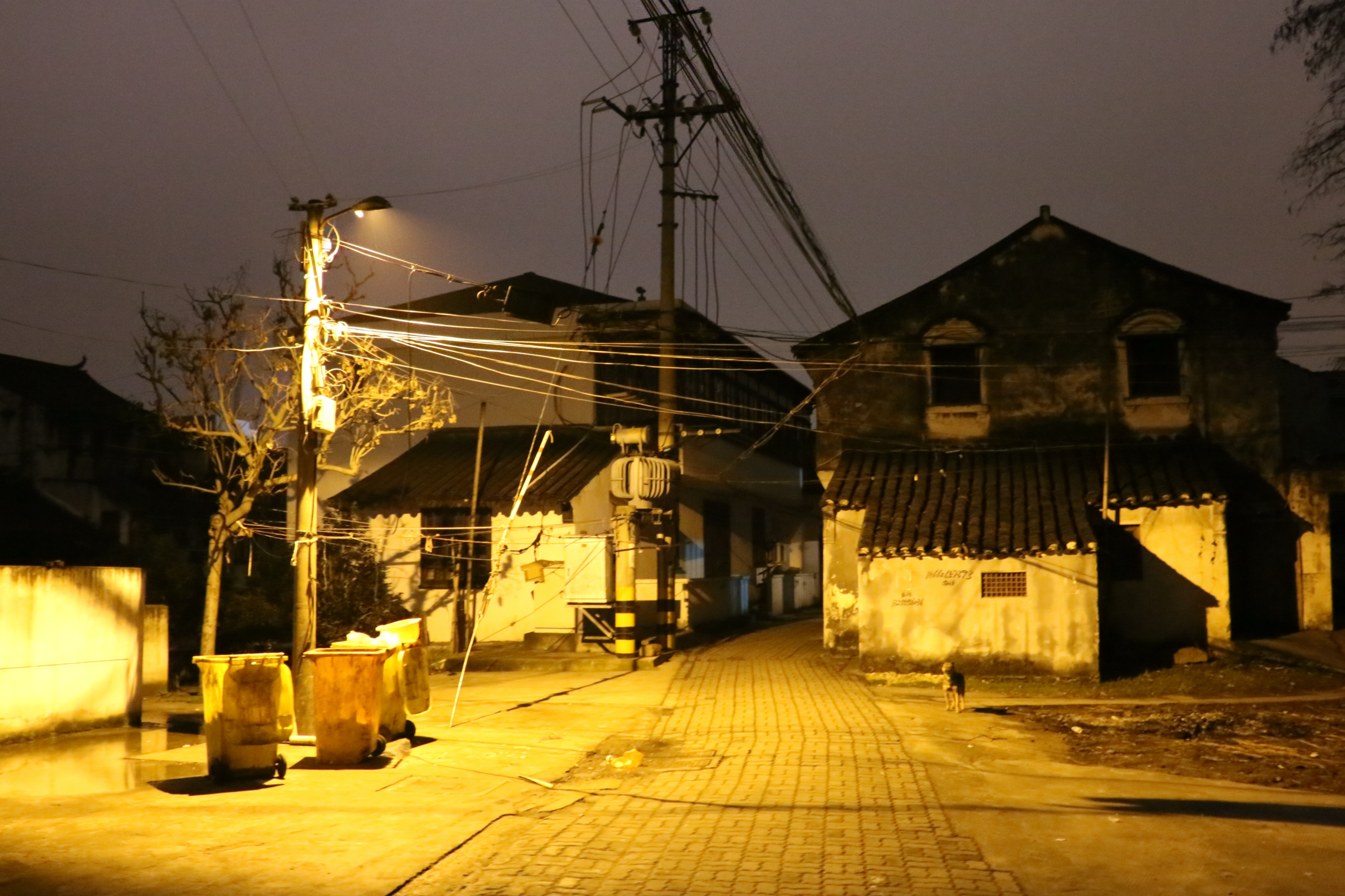 太仓港沙溪古镇,一河两岸的古镇