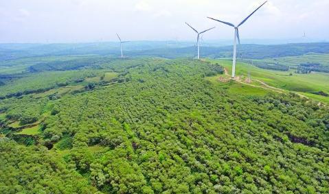 大型树移植机器,日本移植树机器
