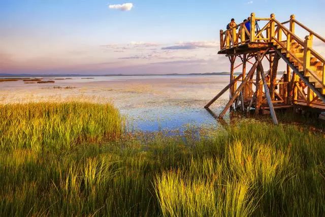 若诗若画若尔盖美景,若诗若画若尔盖文案