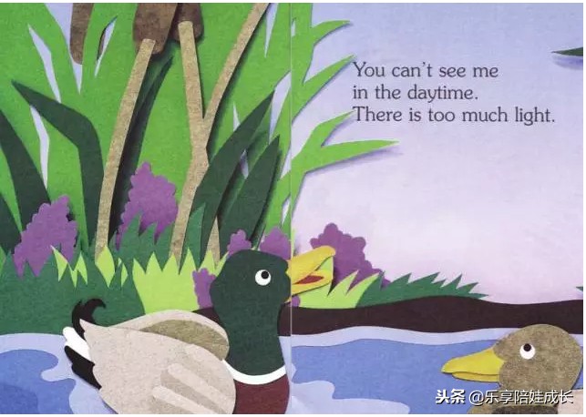 i am a star 英文绘本朗读 (i am a bunny绘本阅读中文翻译)