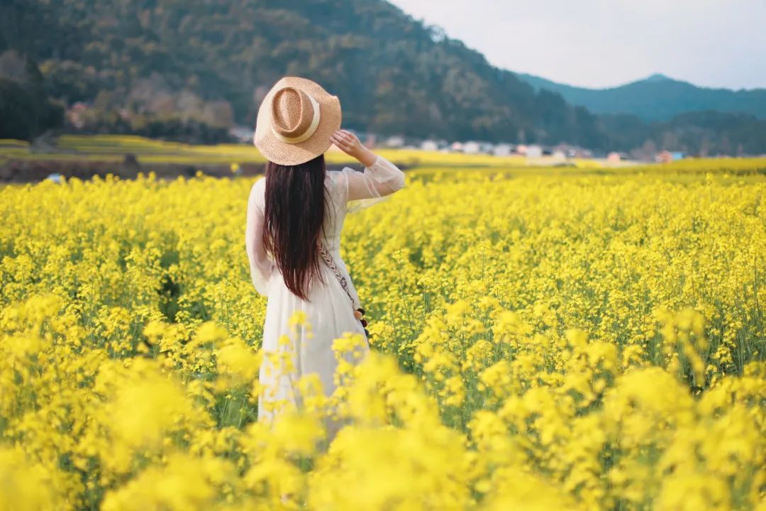 苏州去腾冲旅游攻略,苏州到腾冲旅行攻略