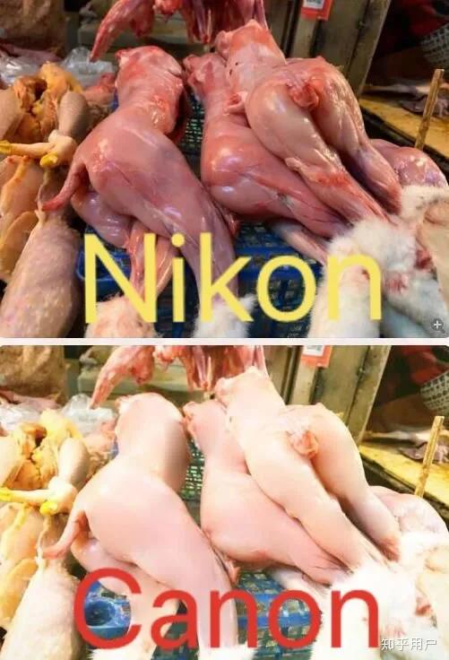 如何选相机才能不入坑,买相机需要注意哪些问题