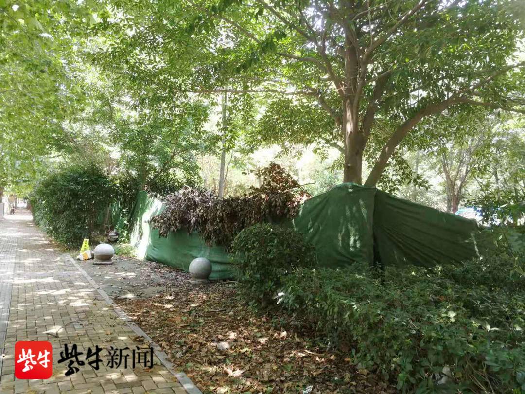 南京建筑垃圾临时堆放处,南京市建筑垃圾投放点