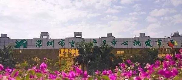 中国蔬菜批发市场大全,邓州菜农蔬菜批发市场在哪里