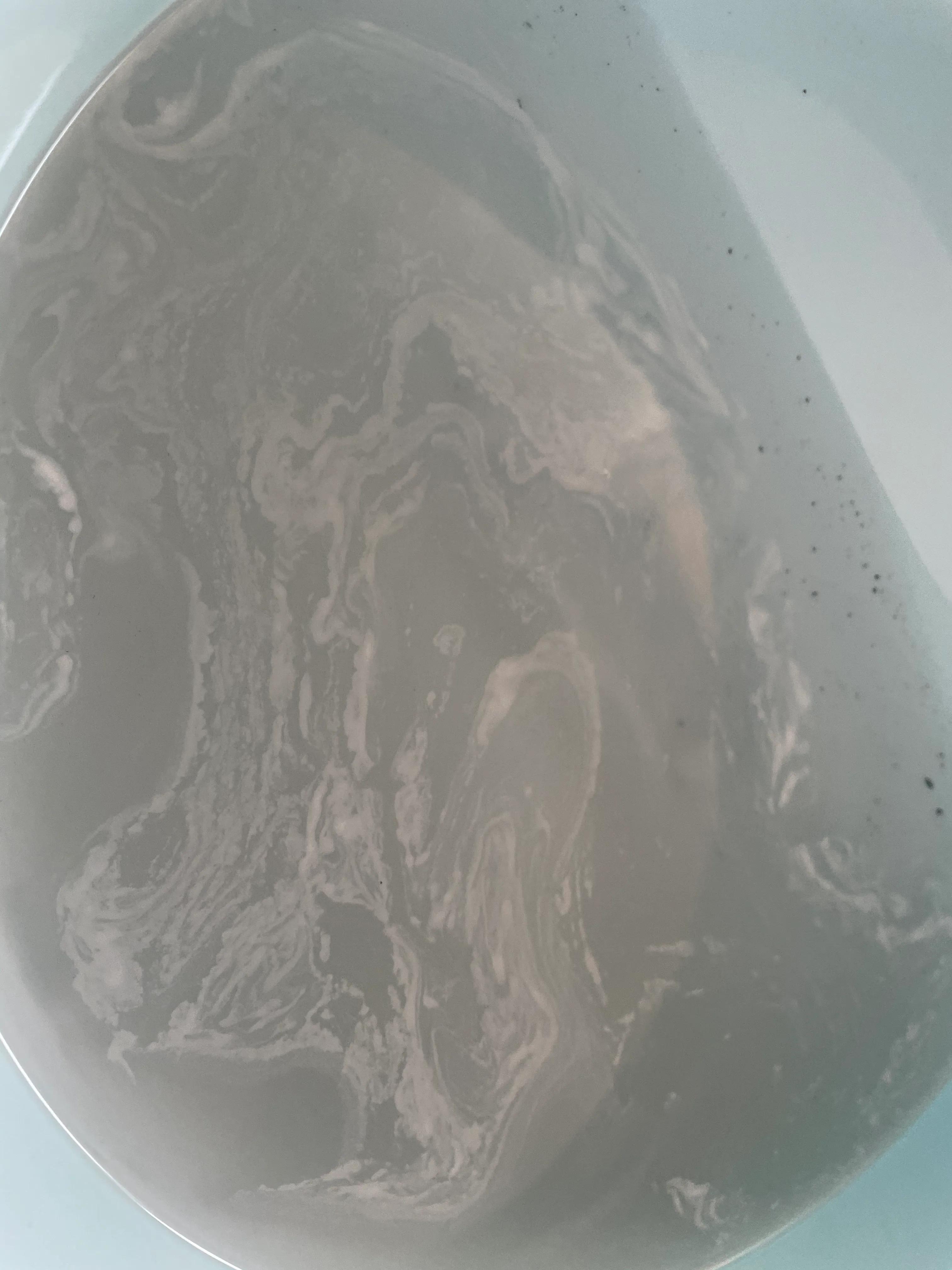 怎样清洗金属手表链,怎样清洗表链最干净