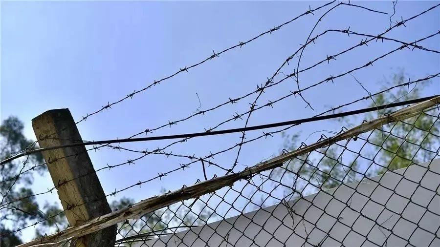 四十年后天堂向右深圳向左,天堂往左深圳往右简介