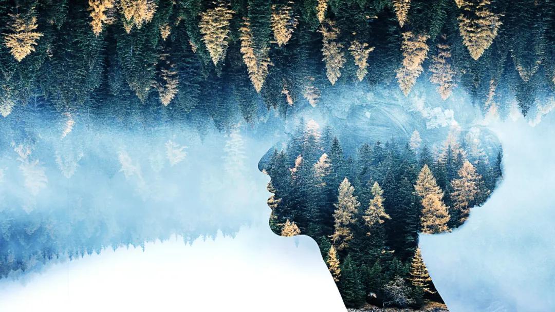 做事没有恒心半途而废,做事没有毅力半途而废怎么办