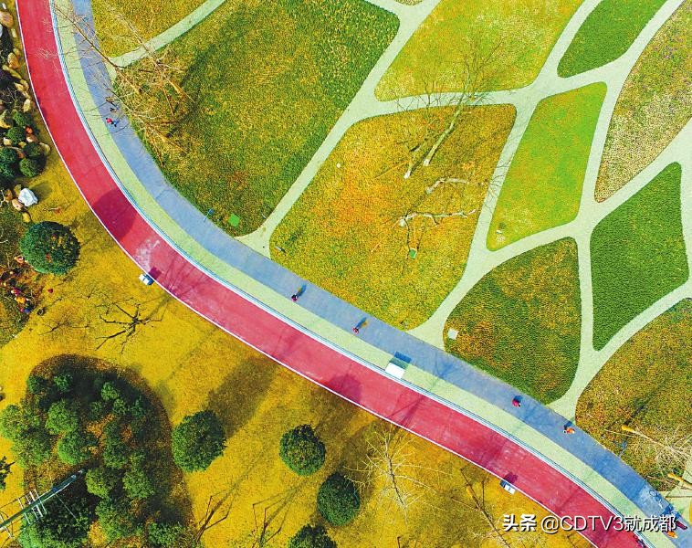 对话世界城市丨“足球之城”塞维利亚副市长：1.6万公里绿道这简直是一个奇迹！