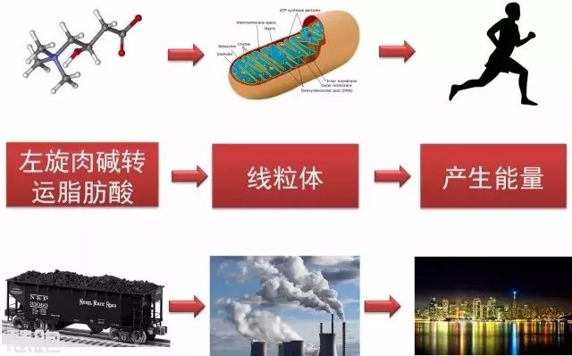 塑料闺蜜与真实闺蜜,塑料闺蜜之间的斗争泰国