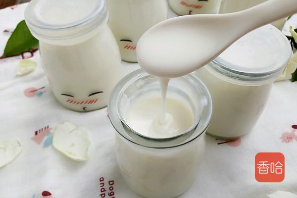 教你自制酸奶，最简单的方式，浓稠又好喝，家人抢着喝