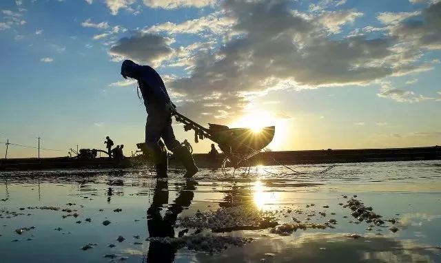 市区到塘沽能走天津大道吗,塘沽过去