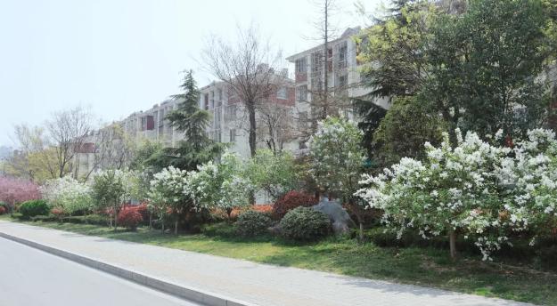 这届丰县人，的确没什么好“骄傲”的