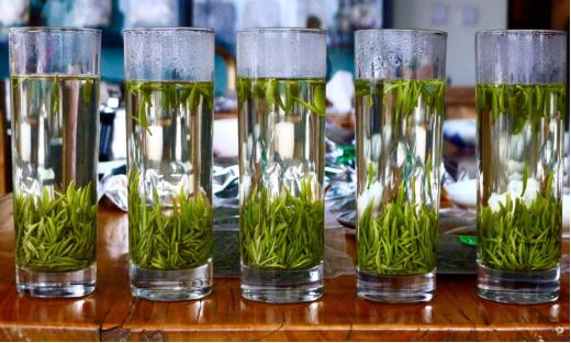 汉中仙毫和安吉白茶的区别 (2023年汉中仙毫春茶上市时间)